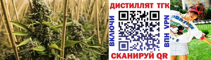 Дистиллят ТГК вейп с тгк  Белоозёрский 